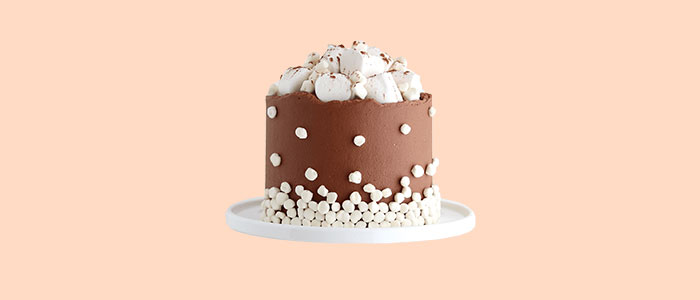 Marshmallow Dream Grand Fudge Cake 